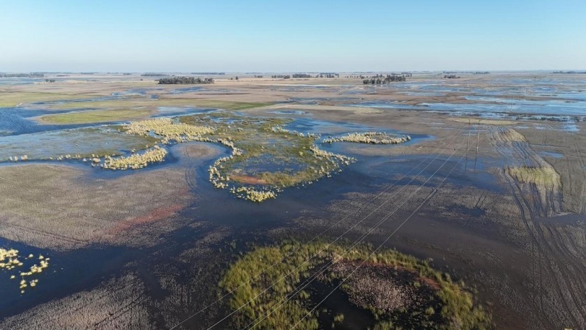 El gobierno prorrogó la emergencia agropecuaria para partidos bonaerenses inundados